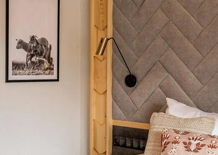 & Czarny Niedzwiedz شقة فندقية